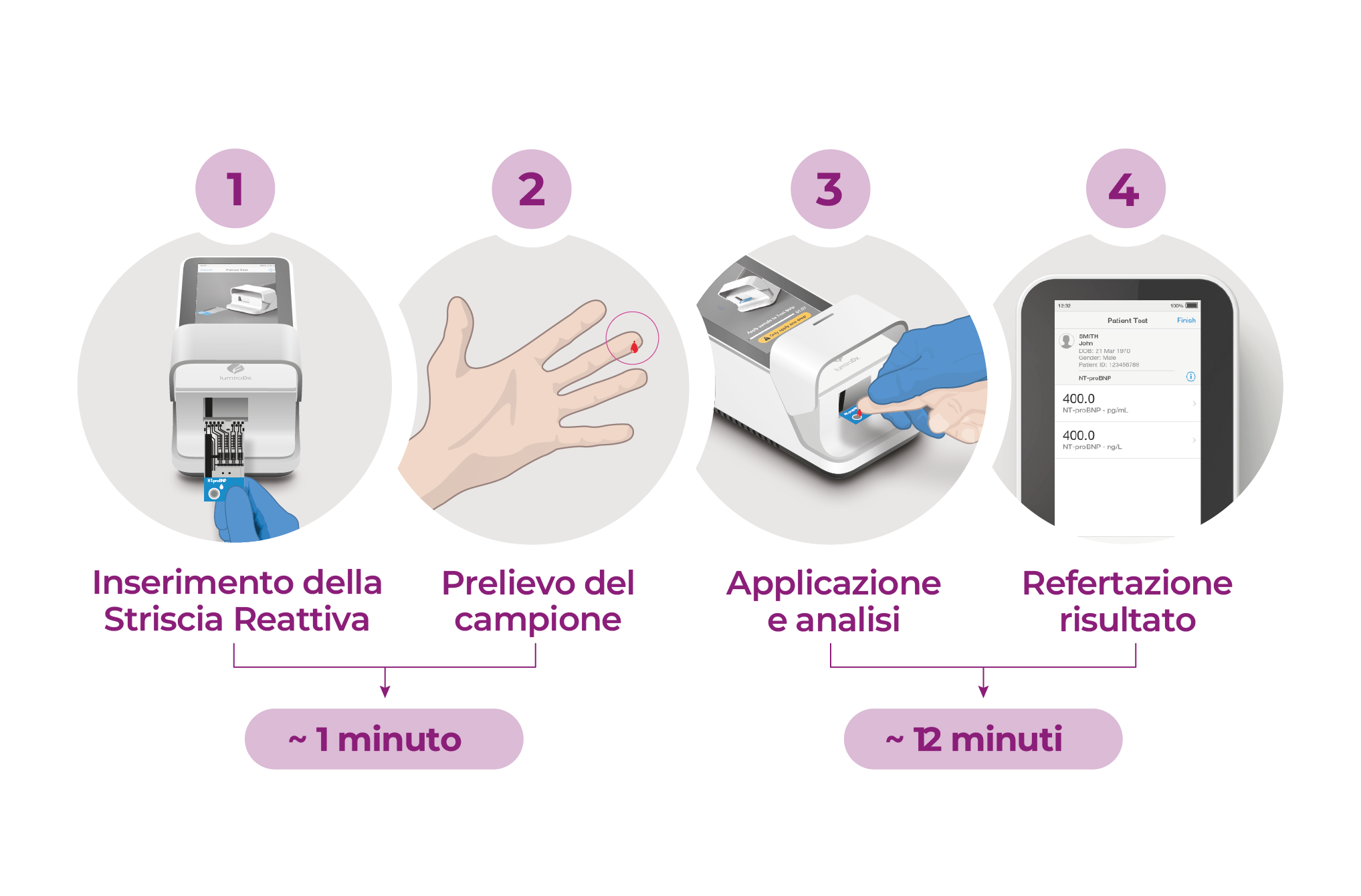 NT Probnp Master Workflow IT