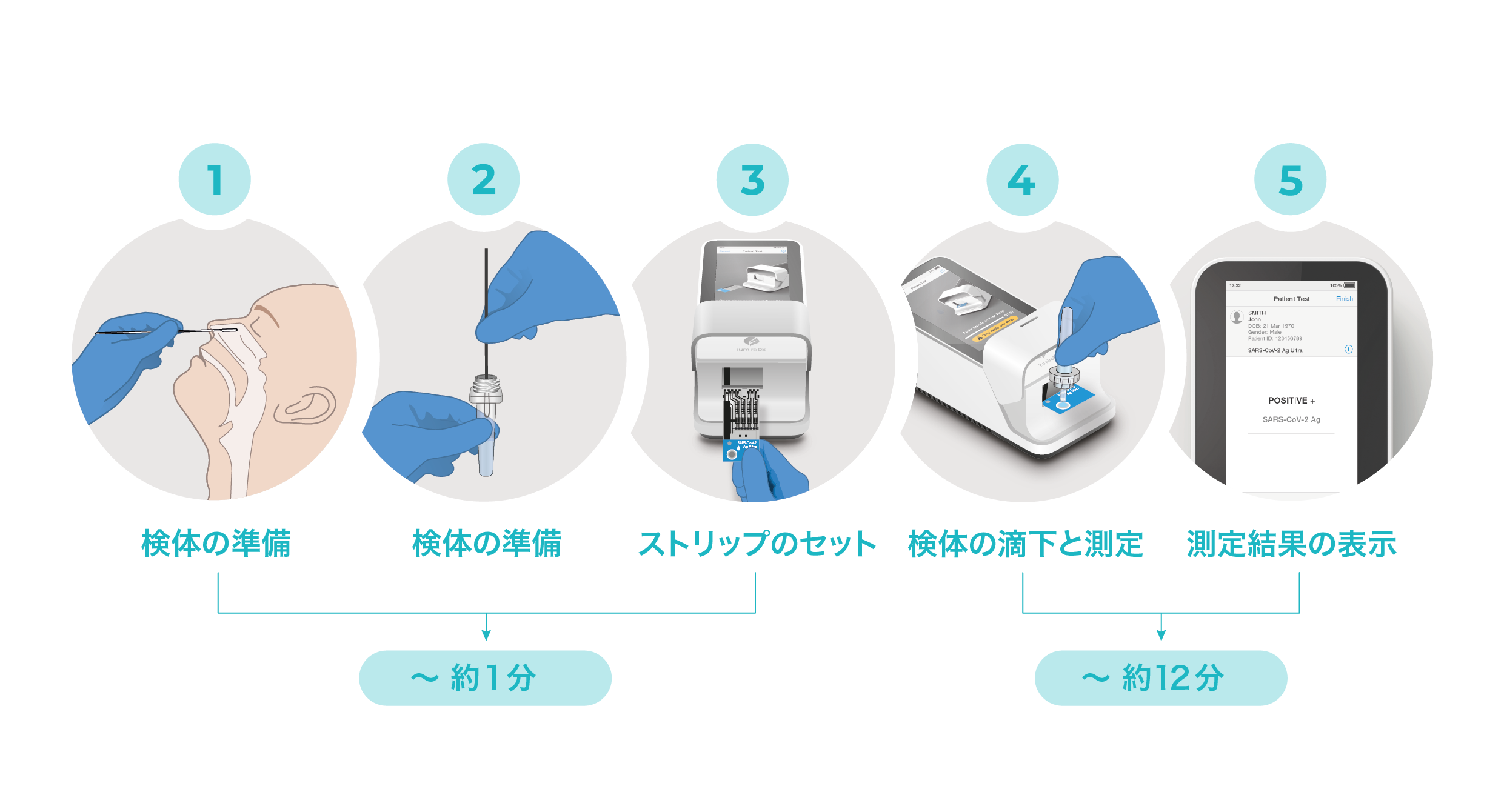 SARS Ag Master Workflow JP (1)