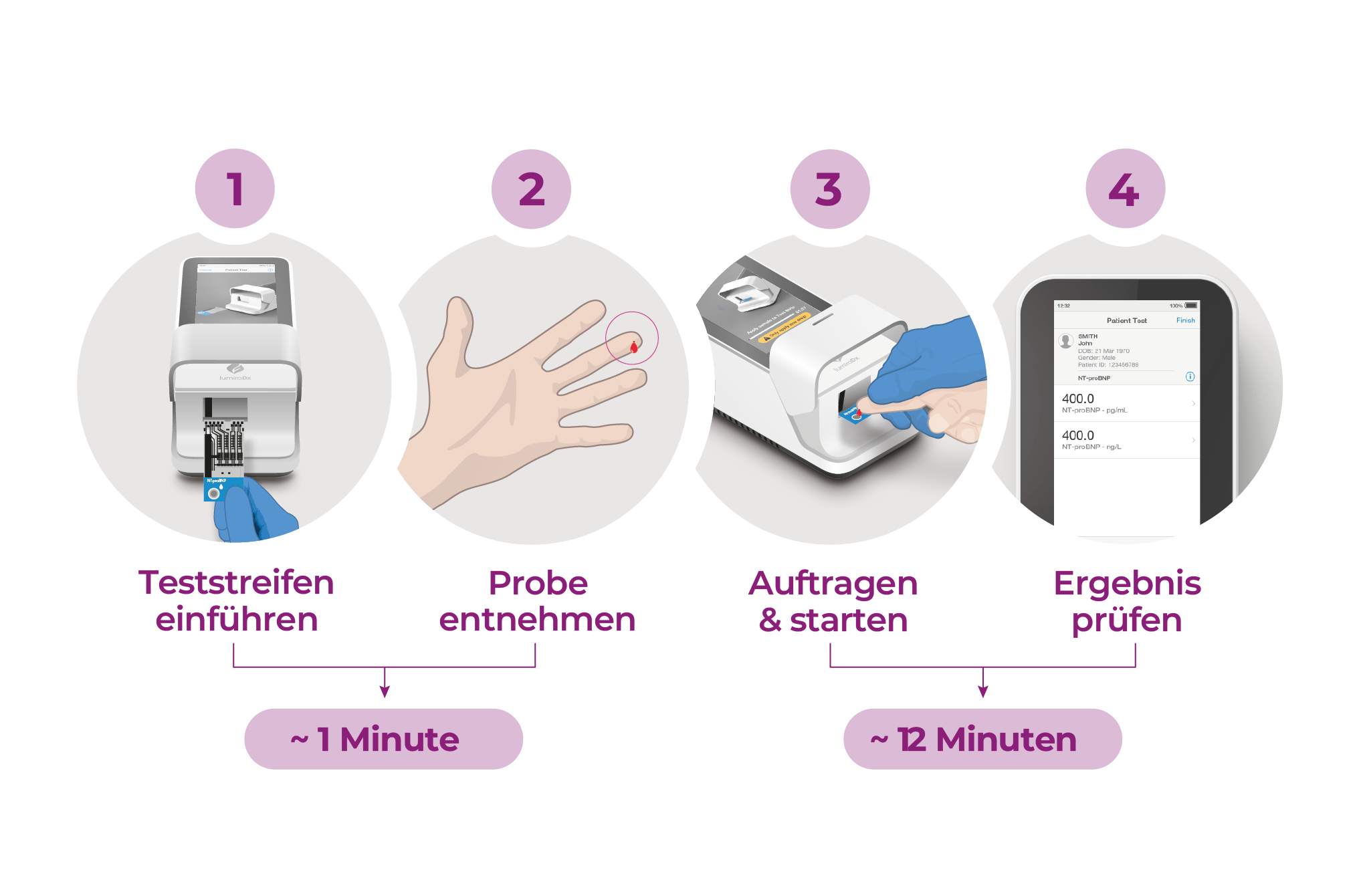 NT Probnp Master Workflow DE