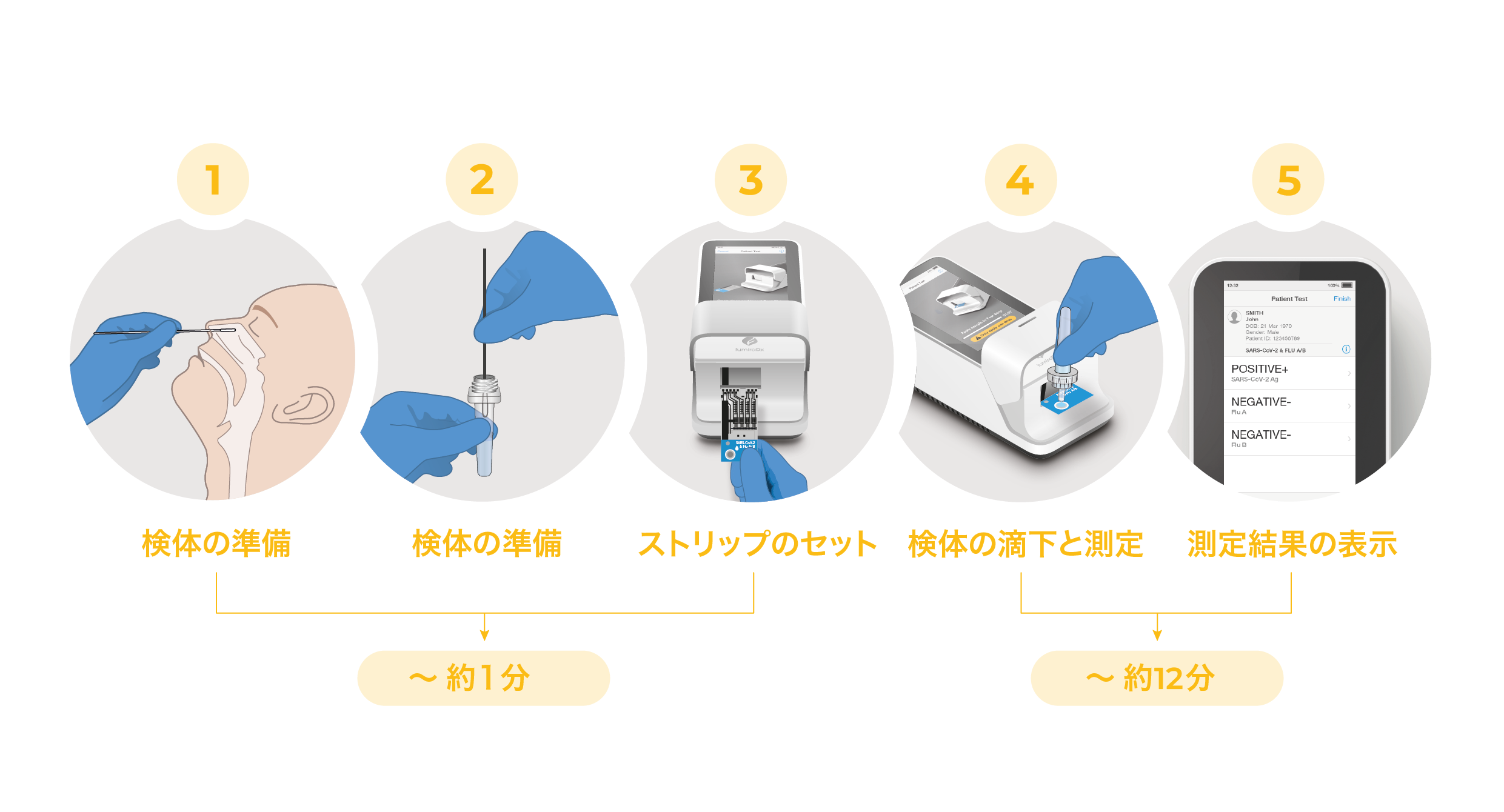 SARS Flu Master Workflow JP