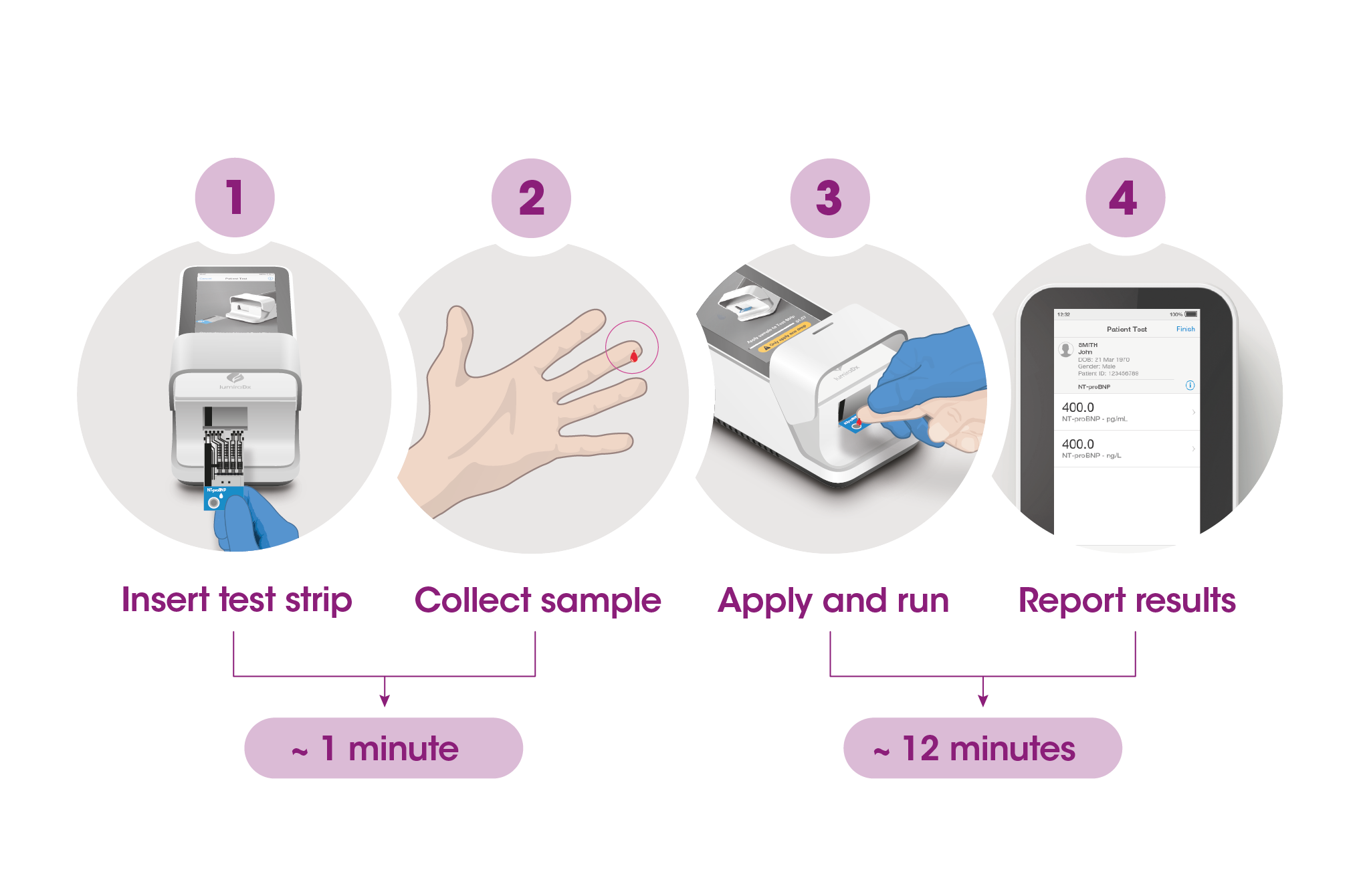 Workflow EN Ntprobnp